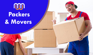 Packers & Movers Website-copy